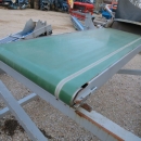 4306 SKALS conveyor 3800x350 mm