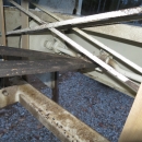 4491 SKALS potato sorter SK613