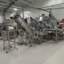 4602 LIMAS complete peeling factory for potato