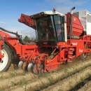 4603 Dewulf RQ3060 2 row potato harvester