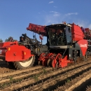 4702 Dewulf RQA3060 potato harvester selfpropelled