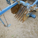 4868 Asa-Lift PO-250 leek harvester / carrot sharelifter