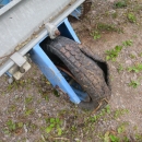 4944 Nibex 300 seeder