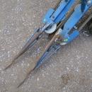 5004 Asa-Lift combi mini carrot harvester with box table