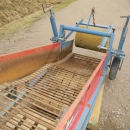 5004 Asa-Lift combi mini carrot harvester with box table