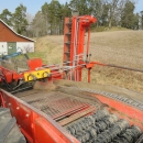 5014 Grimme SE70-20 potato harvester