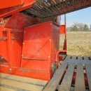 5014 Grimme SE70-20 potato harvester