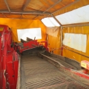 5092 Grimme SE75-40 potato harvester