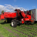 5162 Dewulf GBC carrot harvester