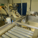 5288 Ekomatic potato peeling line