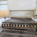 5659 Newtec celox optical sorter for carrots