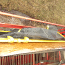 5736 Grimme SE75-40 potato harvester