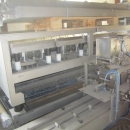 3381 Upmann weigher and tray packing line