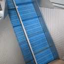 5846 EMVE automatic weigher for peeled products