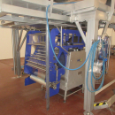 5938 Newtec JASA packaging line for processed vegetables potatoes