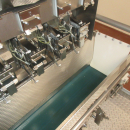 5938 Newtec JASA packaging line for processed vegetables potatoes