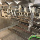 5938 Newtec JASA packaging line for processed vegetables potatoes
