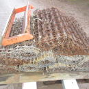 6023 EMVE potato screen grader line 