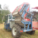 6039 Asa-Lift SP-200 E carrot harvester