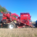 6041 Dewulf GBII carrot harvester 