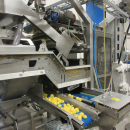 6147 Odenberg optical sorter