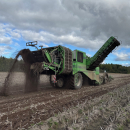 6203 AVR Puma 4 selfpropelled potato harvester