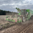 6203 AVR Puma 4 selfpropelled potato harvester