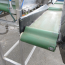 6236 Newtec + Gillenkirch packaging line for apple in plastic bags