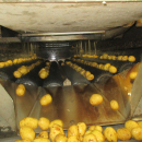 6292 Tong potato washing line with destoner and polisher Stainless steel