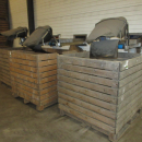 6299 Newtec celox optical sorter grader for potato