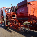 3583 Simon carrot harvester 1 row with 5 ton bunker