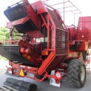 3636 Dewulf RDT superia 2 row potato harvester with bunker