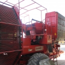 3636 Dewulf RDT superia 2 row potato harvester with bunker