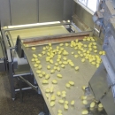 3662 Complete Potato Processing line