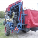3668 Asa-Lift carrot harvester with elevator 2 row