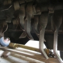 3717 Baselier haulm topper 2 row