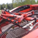 3836 Grimme GZ1700 potato harvester with elevator