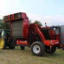 3970 DEWULF GBC carrot harvester with bunker