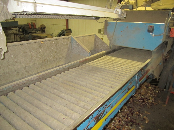 3286 EMVE potato screen grading sorting line