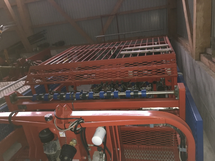 4582 Ferrari planting machine Rotostrapp 5 row pneumatical
