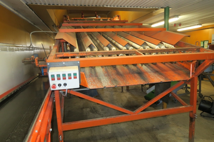 4678 EKKO diameter grader for carrots