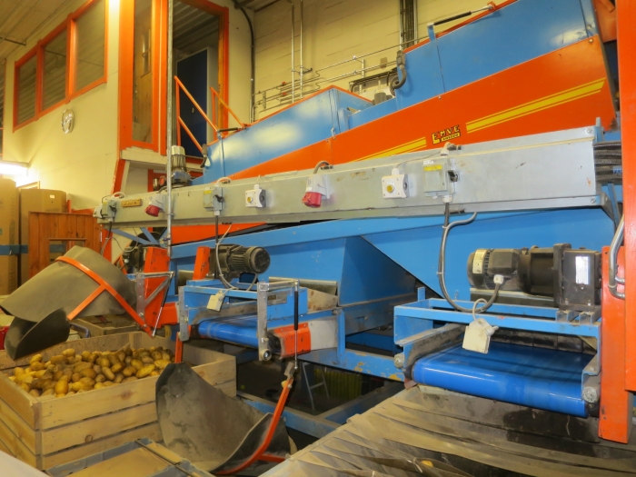 4983 EMVE potato grading line with diabolo sorter