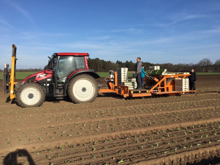 4993 Regero block transplanter planting machine 4 row