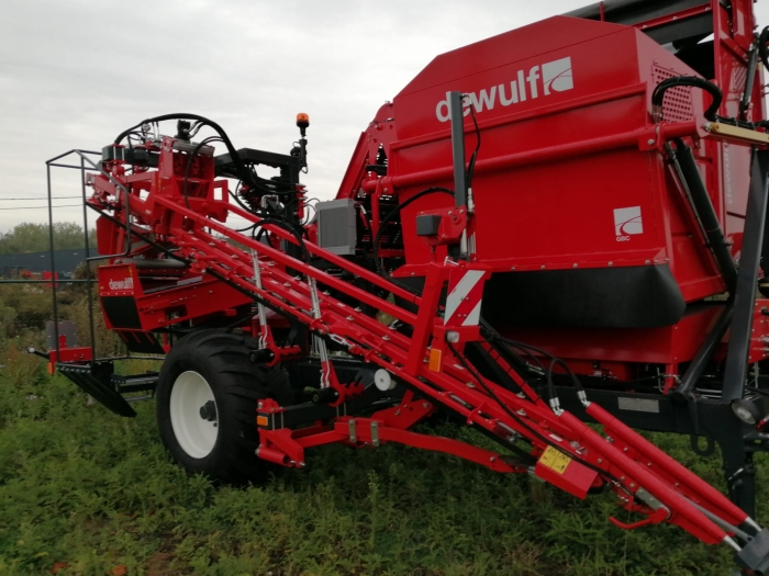 5077 Dewulf GBC carrot harvester with bunker