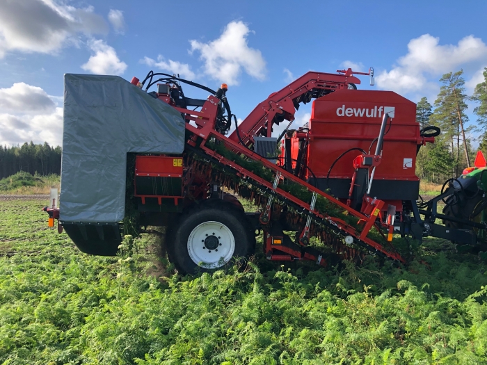 5162 Dewulf GBC carrot harvester