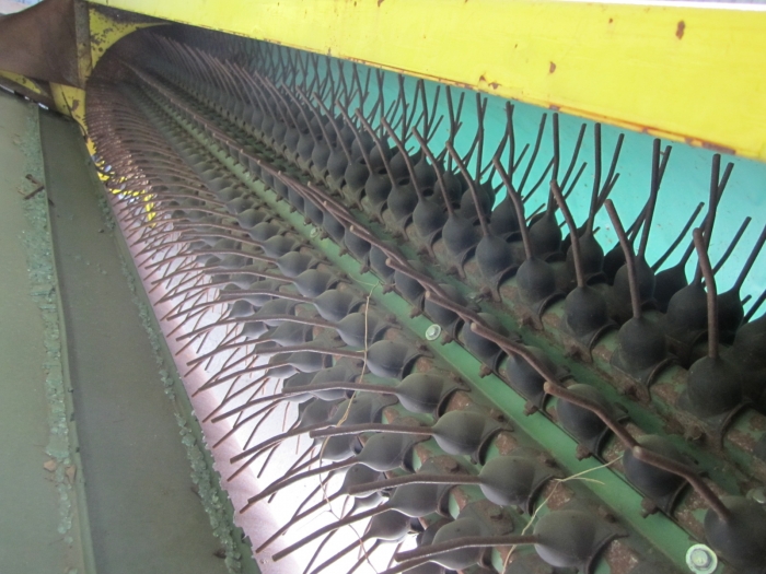 3219 Ploeger parsley leaves harvester and more vegetables