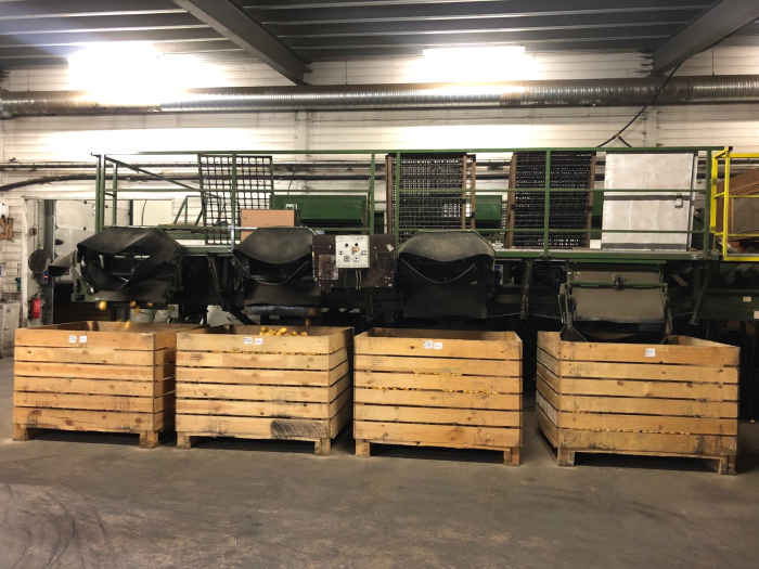 5666 Schouten Kartoffelsortierer 10-25 ton/Stunde