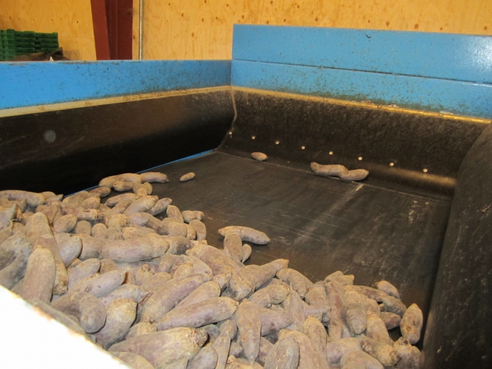3370 Newtec 2009G +Gillenkirch+EMVE weigher and pack