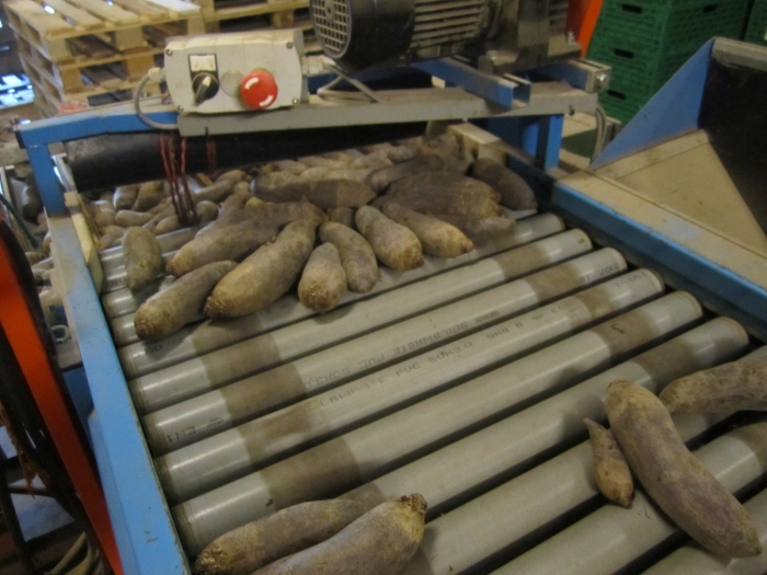 3370 Newtec 2009G +Gillenkirch+EMVE weigher and pack