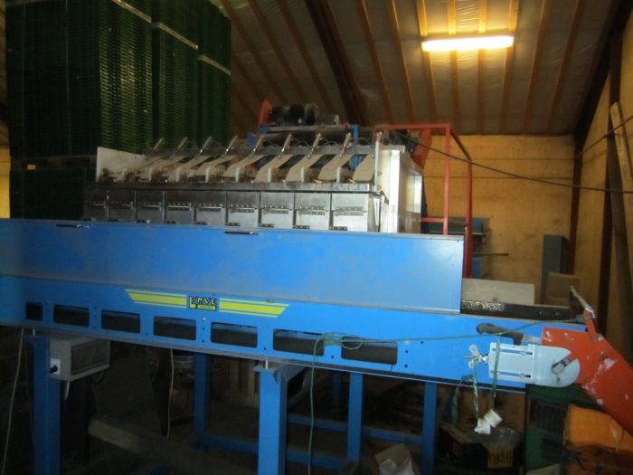 3370 Newtec 2009G +Gillenkirch+EMVE weigher and pack